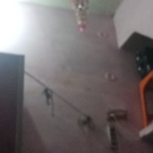 Meet your Posher, Gaurav